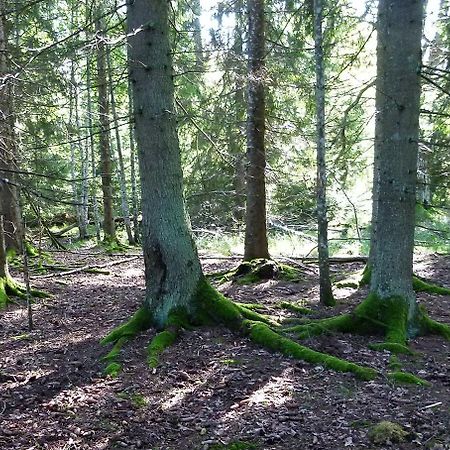 Viruna Farm Kiraste Экстерьер фото