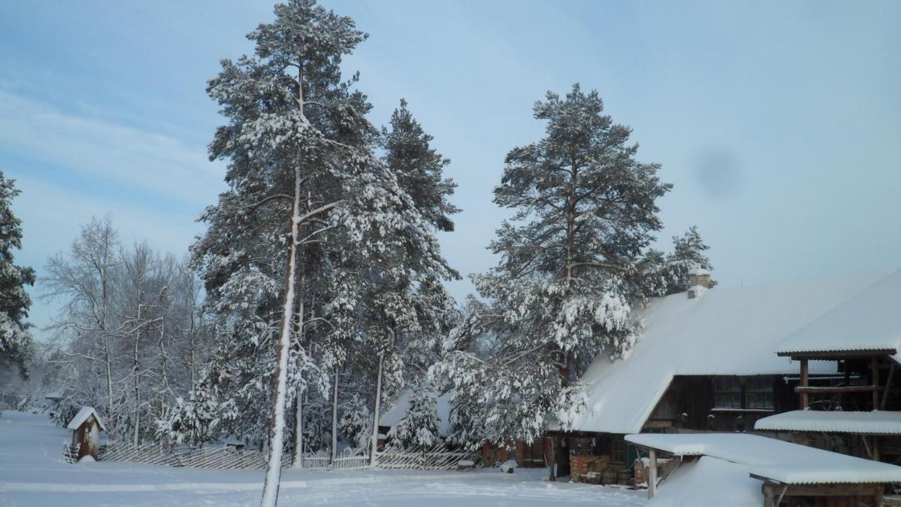 Viruna Farm Kiraste Экстерьер фото