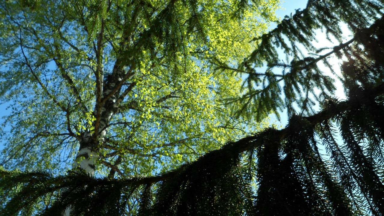 Viruna Farm Kiraste Экстерьер фото