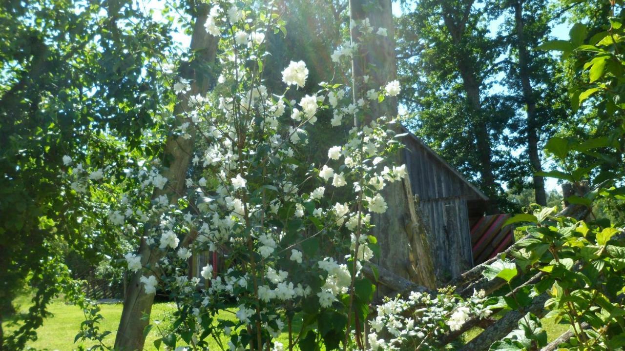 Viruna Farm Kiraste Экстерьер фото