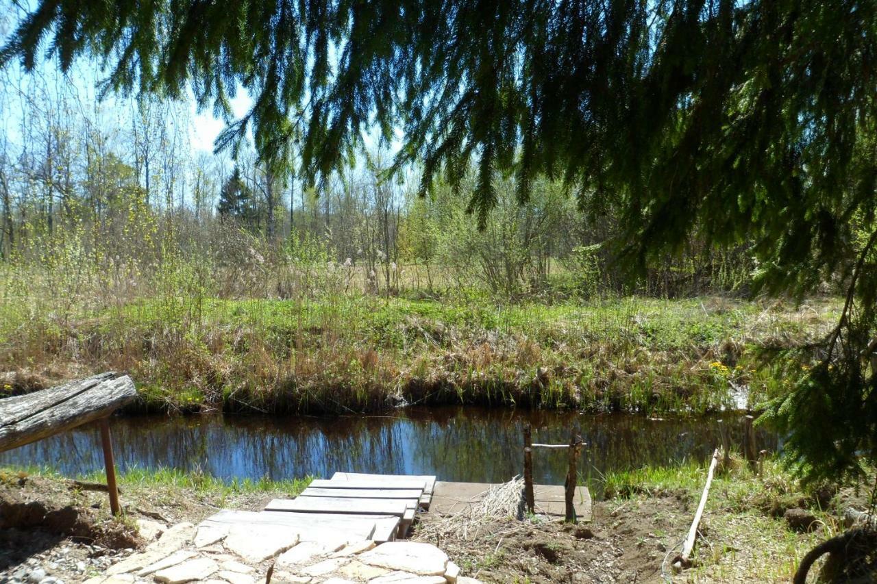 Viruna Farm Kiraste Экстерьер фото